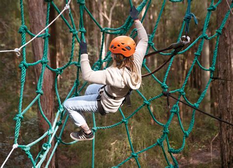 treetops gosford|Treetops Adventure Central Coast